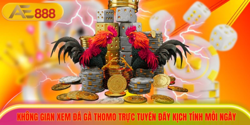 Xem Trực Tiếp Đá Gà Thomo Hôm Nay Với 99 Trận Đấu Nảy Lửa Không gian xem trực tiếp đá gà thomo trực tuyến đầy kịch tính mỗi ngày